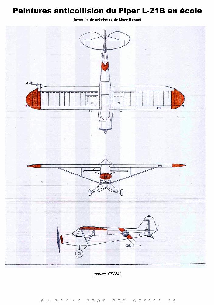 Piper L-21B_000010.jpg